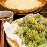 山菜の天ぷら＊こごみ・タラの芽
